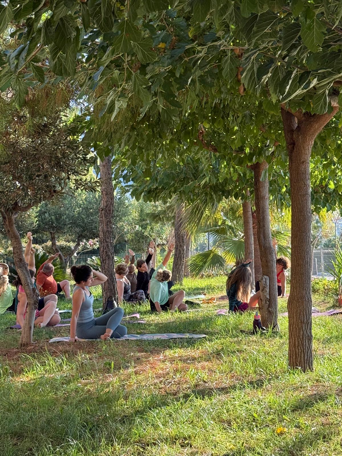 Yoga circle beneath fig and olive trees
