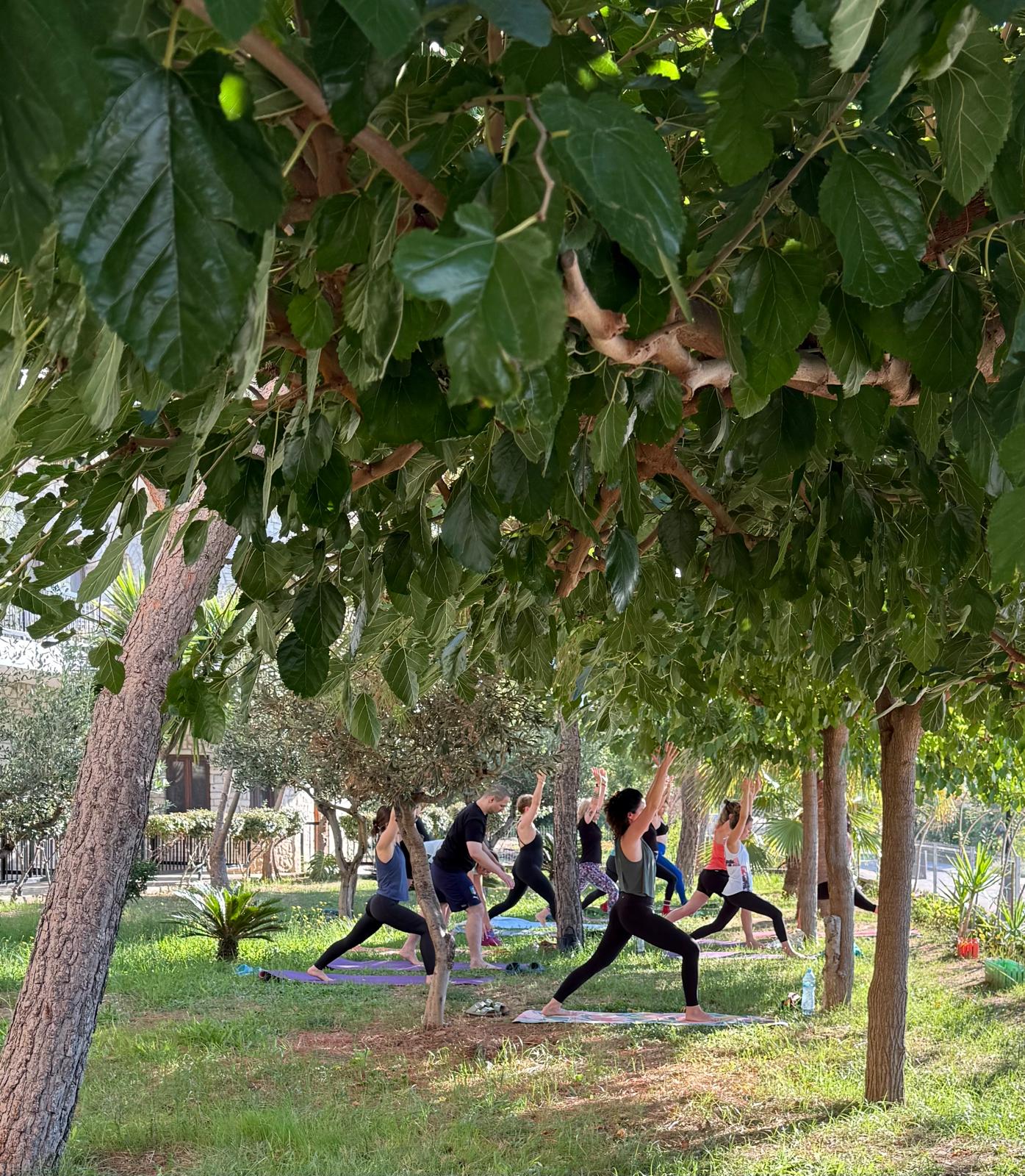 Warrior poses in the olive grove